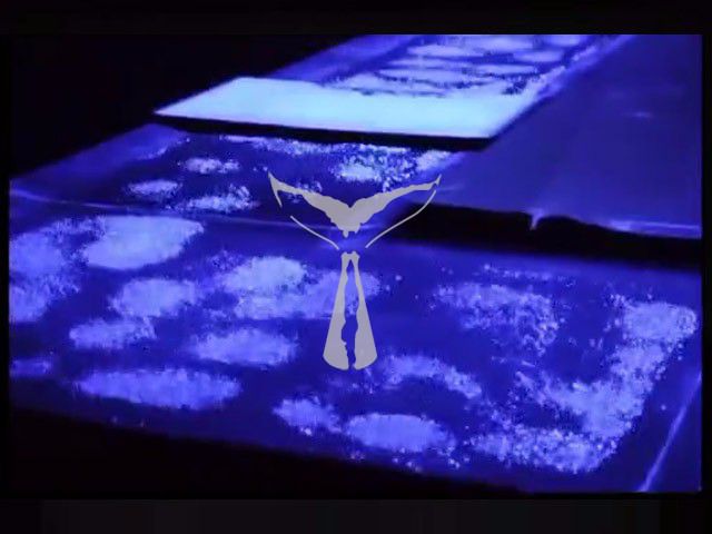 Audio-optoelectronic interactive device video